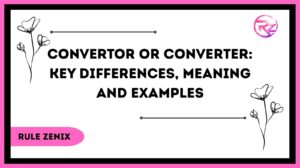 Convertor or Converter Key Differences, Meaning & Examples