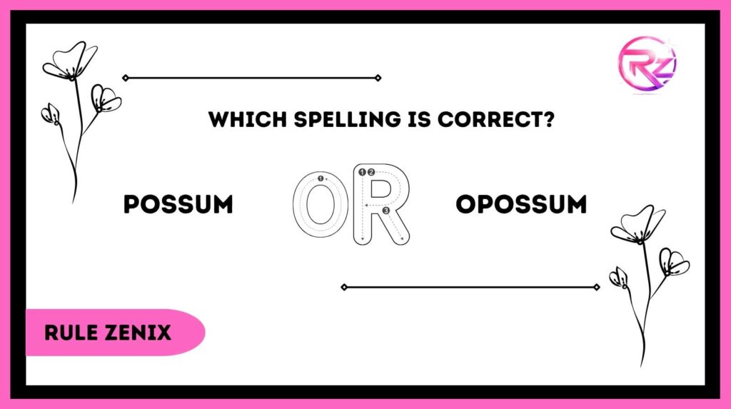 Possum or Opossum