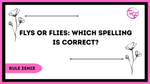 Flys or Flies: Which Spelling Is Correct?
